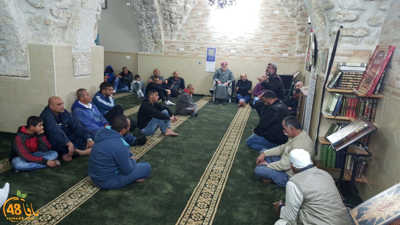 safwat frje3 (5).jpg